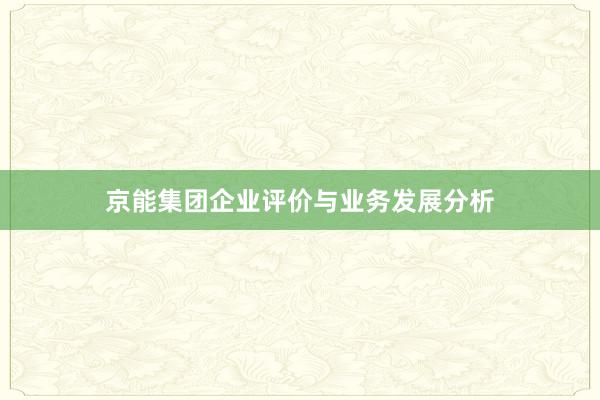 京能集团企业评价与业务发展分析